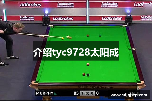 介绍tyc9728太阳成